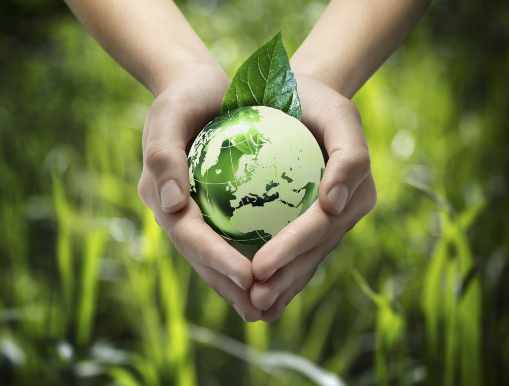 Green World in Hands - iStock_000026077725_Medium