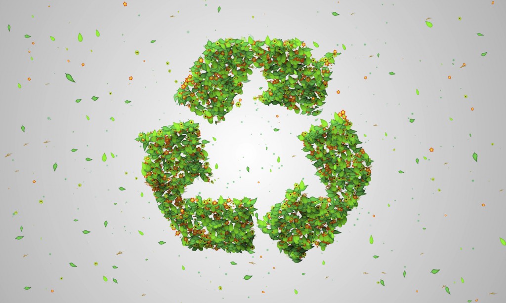 Recycle Symbol Green Leaves - iStock_000042254332_Medium